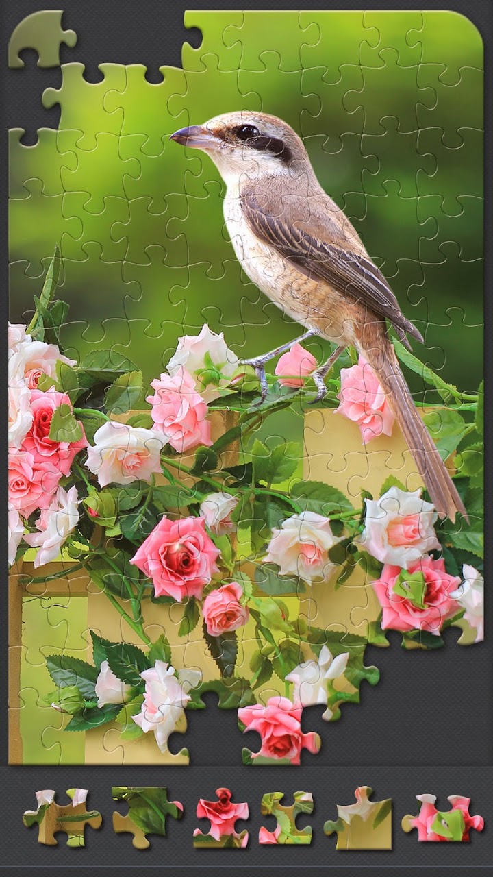 Jigsaw Puzzles for Adults screenshot